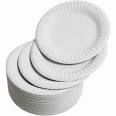 paper plates 