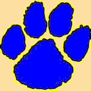 Wildcat Paw