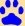 Little Paw