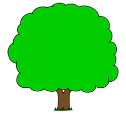 tree tree