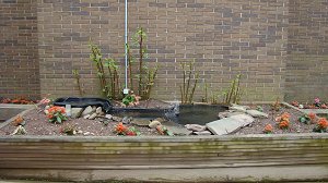 fountain