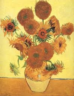Sunfloweras