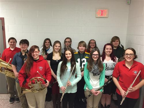 luzcoband2015 luzcoband2015
