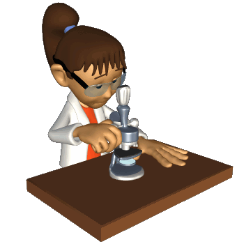 science science