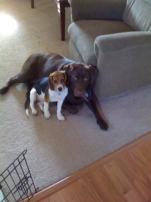Kao and Lilly