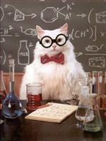 Chem Cat 
