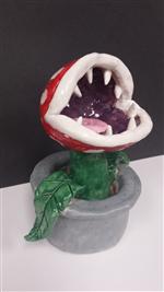 plant 