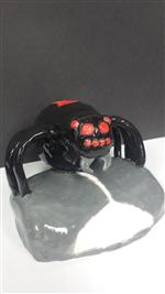 spider1 