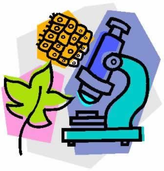 Microscope & cells